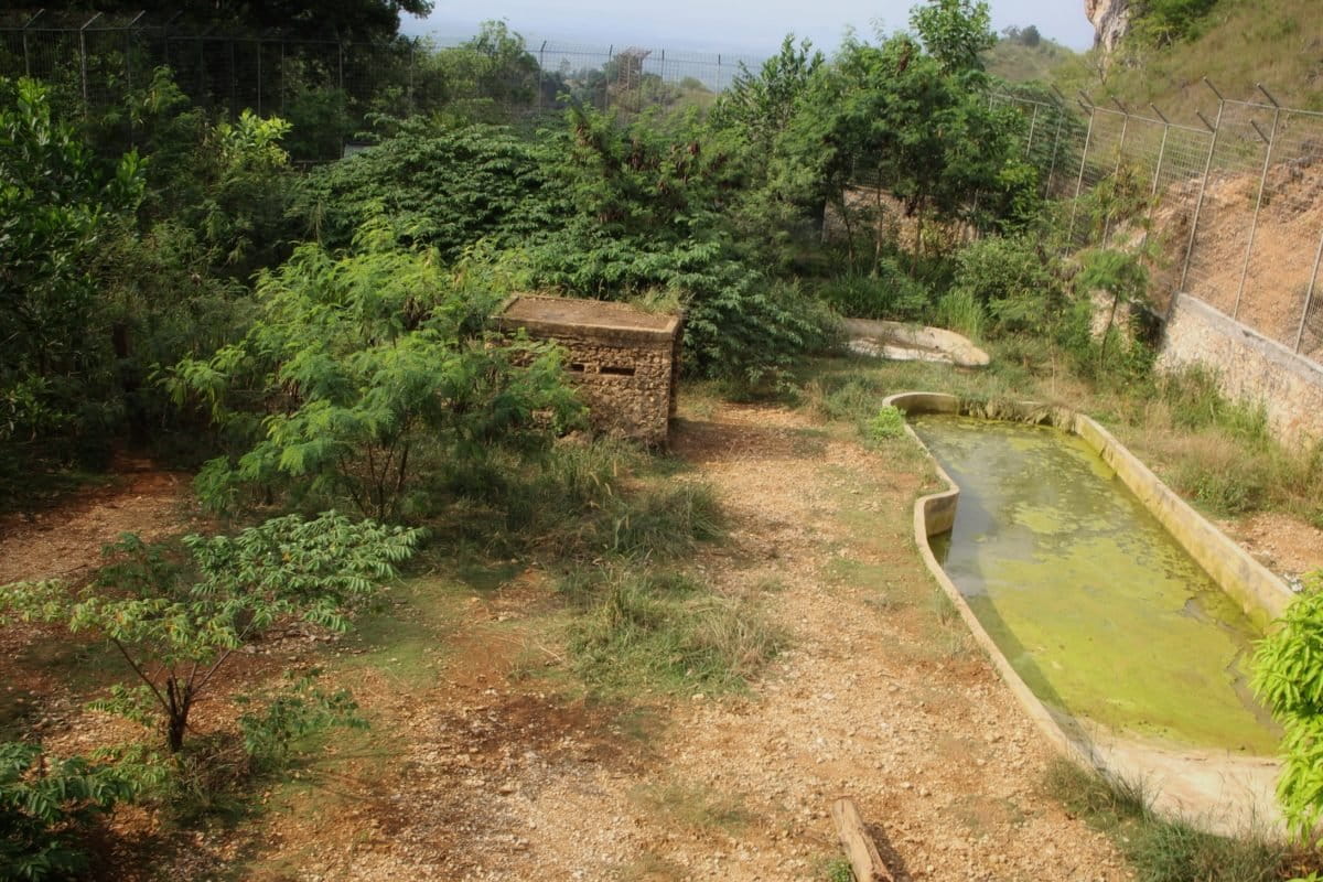 Kandang harimau Sumatera semi alami di Suaka Amrgasatwa Barumun, yang menjadi 'rumah' Gadis dan melahirkan lima anak di sini. Foto: Ayat S Karokaro/ Mongabay Indonesia