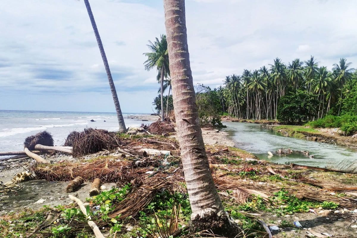 Kondisi MuTammerodo Utara usai banjir pesisir atau banjir rob. Muara terbelah dan terbentuk aliran baru. Foto: Agus Mawan. Mongabay Indonesia 