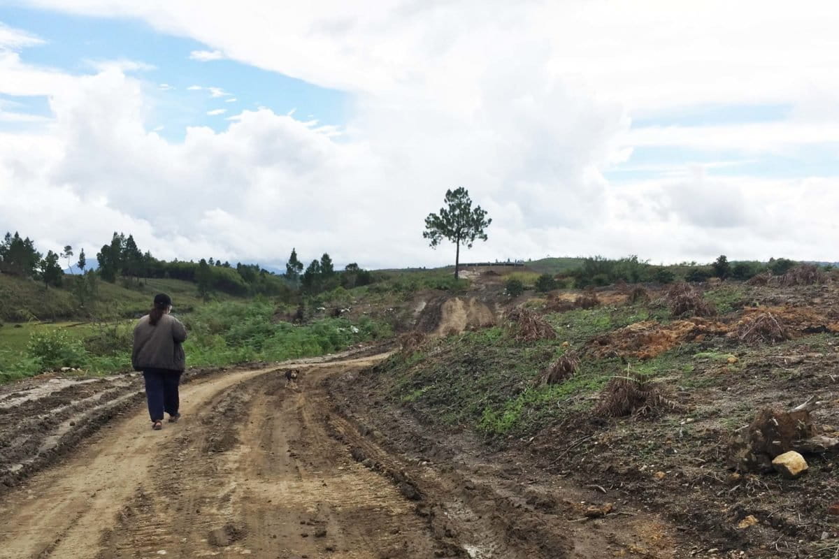 Jalan menuju dan di area food estate, tak semuanya bagus... Foto: Barita News Lumbanbatu/ Mongabay Indonesia