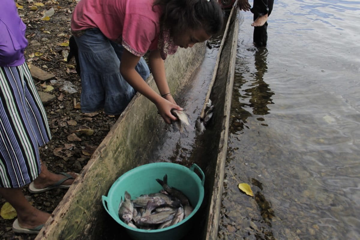 Ikan dari Danau Lindu. Foto: Minne Rivai/ Mongabay Indonesia