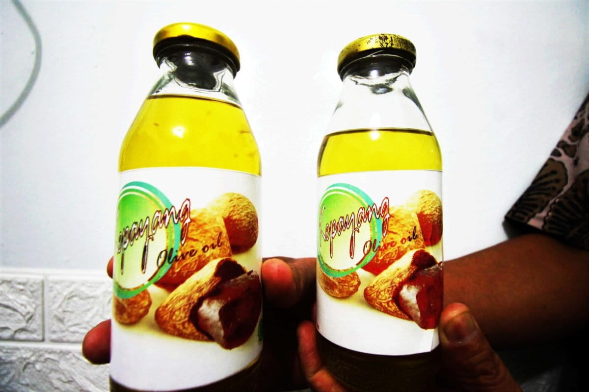 Minyak kepayang bikinan warga Desa Raden Anom, Jambi. Lewat antara lain minyak kepayang ini warga hasil sumber ekonomi dan tak ingin tambang emas ilegal masuk, Foto: Elbiza Diana/ Mongabay Indonesia