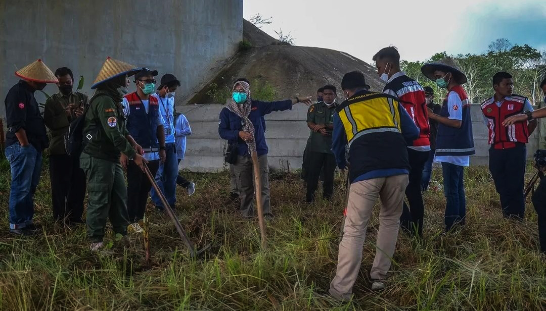 Tanaman yang berupa pisang, sekaligus upaya pengkayaan tanaman pakan gajah pada mulut underpass 72. Sedangkan tanaman jeruk nipis dan lemon ditanam di sepanjang pinggir tol radius 4 km di bagian kanan dan kiri agar gajah tak kembali mendekat ke posisi tol. Foto: BBKSDA Riau