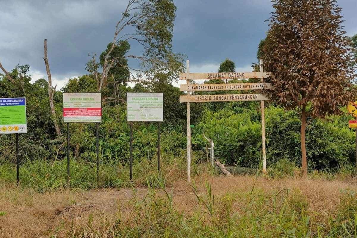Gerbang masuk area HCV PT BMH. Foto: Richaldo R/ Mongabay Indonesia
