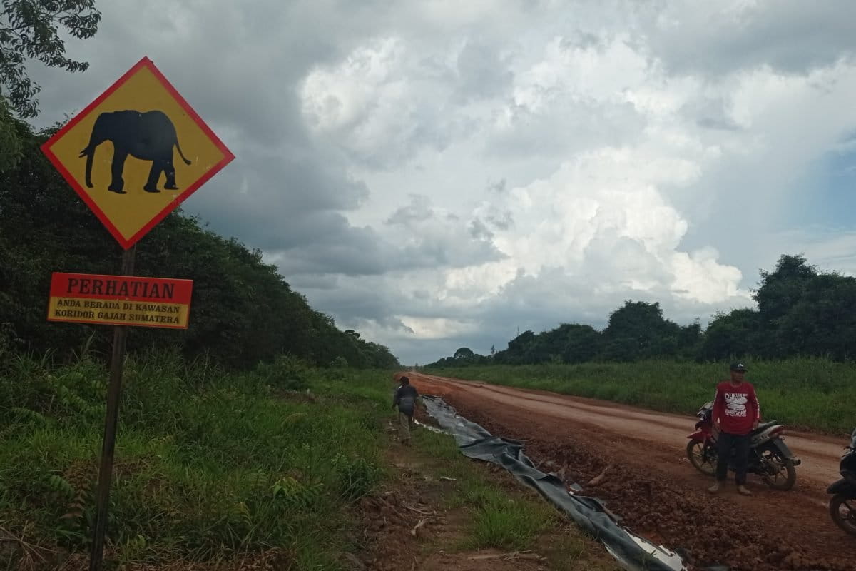 Tanda daerah yang sering jadi lintasan gajah. Foto: Richaldo Hariandja/ Mongabay Indonesia