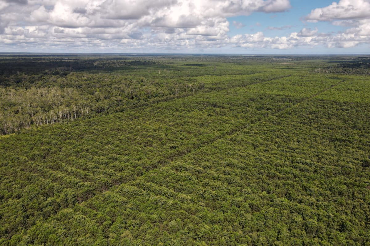 Konsesi PT PNMP. Foto: Koalisis organisasi masyarakat sipil
