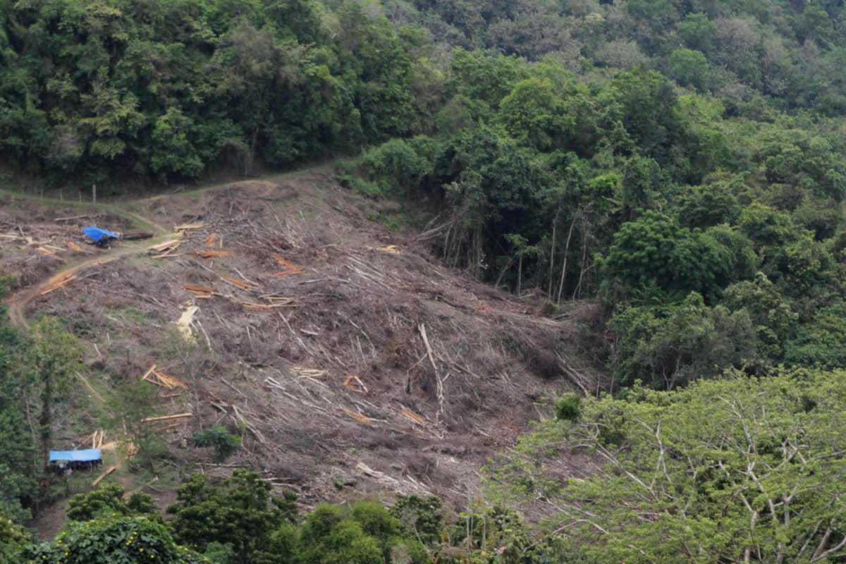 Kawasan hulu yang rusak, berdampak bagi sungai yang mengalir sampai ke hilir. Foto: EKo Rusdianto/ Mongabay Indonesia
