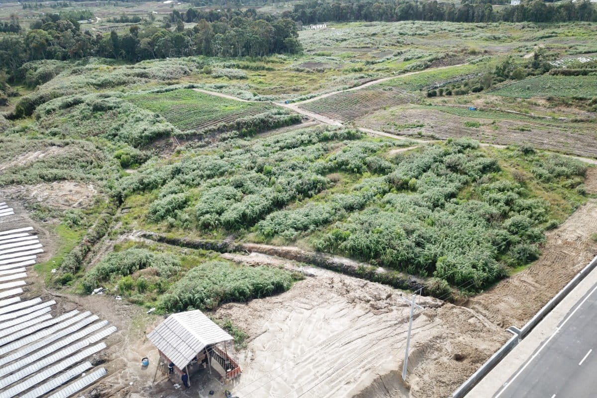Pembukaan lahan pertanian skala luas, picu laju deforestasi? Foto: Baritanews Lumbanbatu/ Mongabay Indonesia