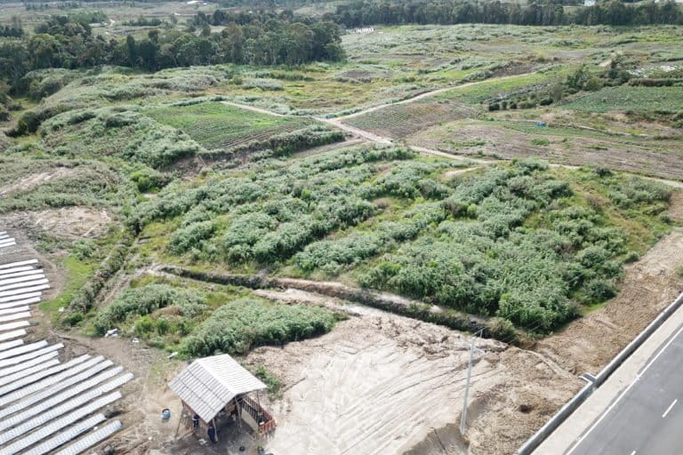 Pembukaan lahan pertanian skala luas, picu laju deforestasi? Foto: Baritanews Lumbanbatu/ Mongabay Indonesia