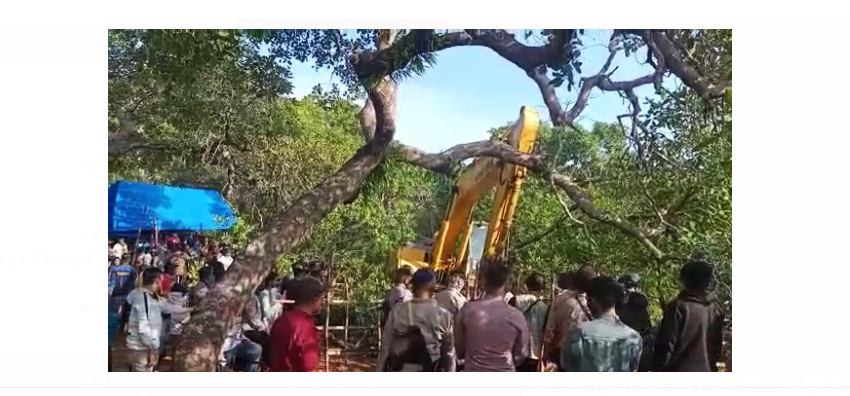 Alat berat mau merobohkan tanaman di kebun warga, untuk bikin jalan tambang perusahaan. Foto: dokumentasi warga Wawonii