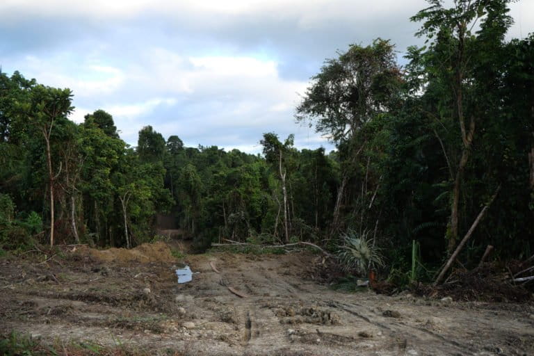 Salah satu jalan di lokasi yang baru dibuka (1)