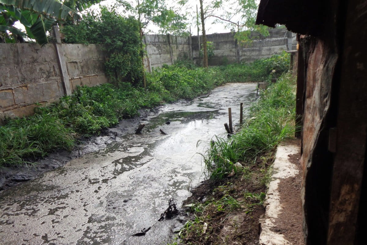 Saluran pembuangan cairan limbahpeternakan ayam PT. Harvest Paulus Papua di Distrik Semangga. Bau kotoran ayam sangat menyengat hidung. Foto: Agapitus Batbual/ Mongabay Indonesia