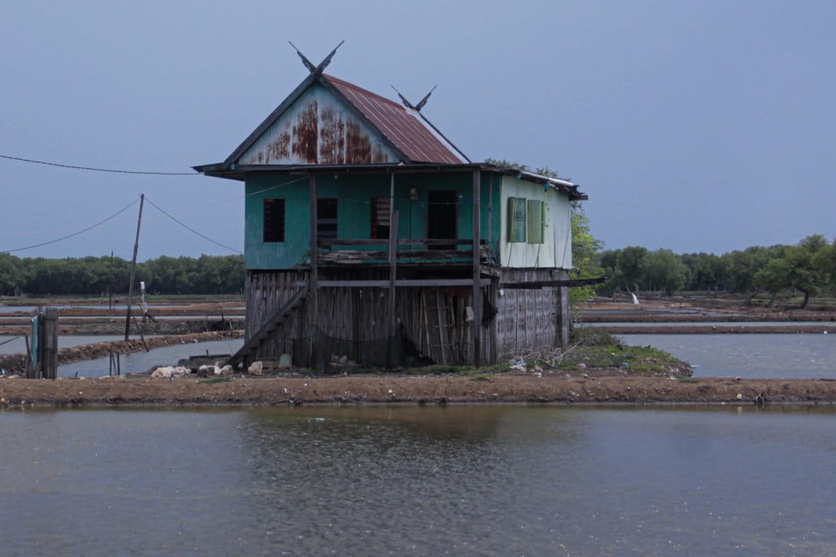 Tambak di tepian Sungai Sangkarra ini dulunya ada hutan mangrove. Foto: Eko Rusdianto/ Mongabay Indonesia