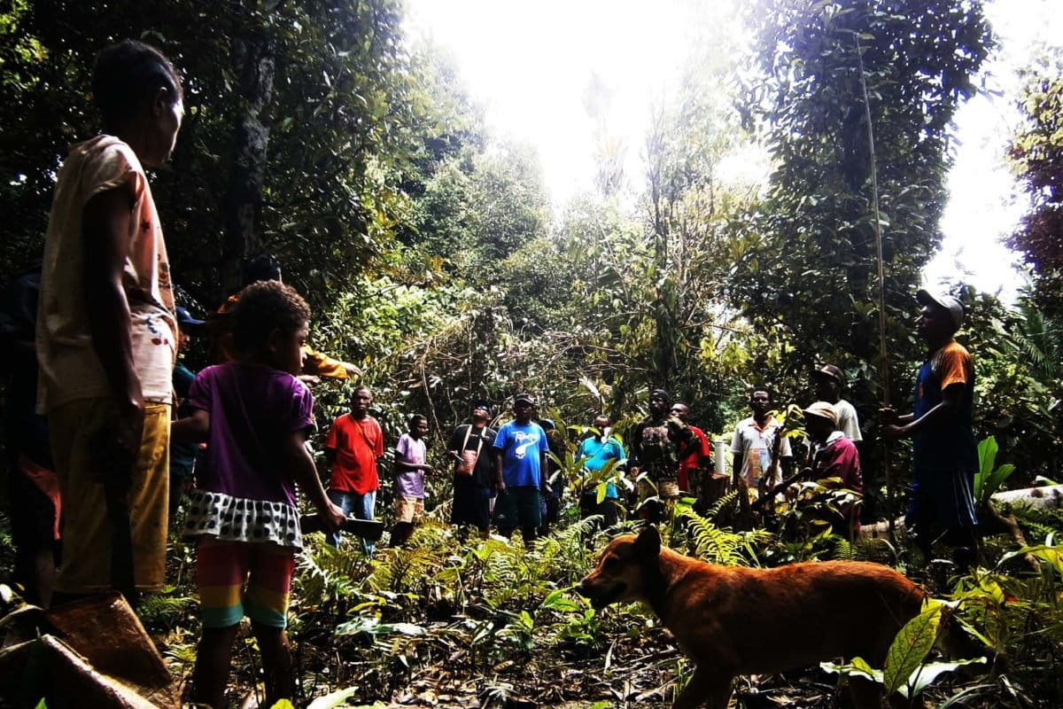 Kebun pala warga di Kampung Egerwara. Foto: Nuswantoro/ Mongabay Indonesia