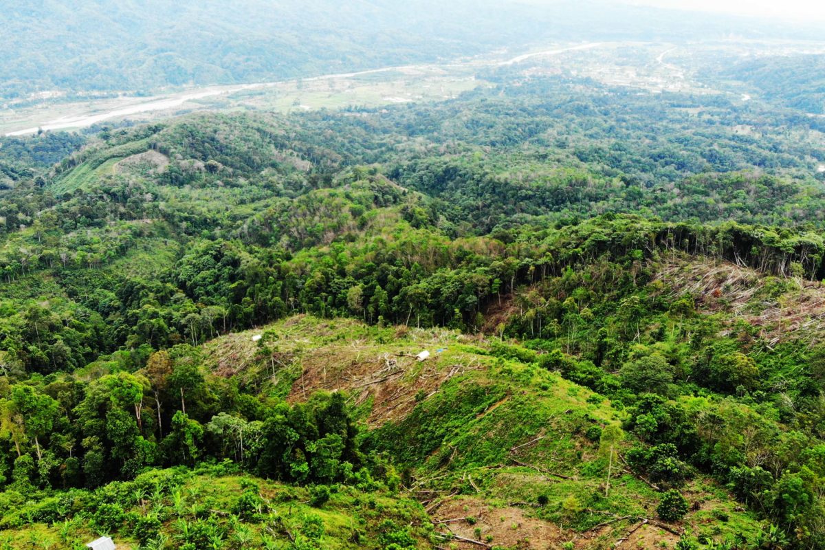 Kondisi Leuser di Aceh Tenggara. Foto: Yudha Pohan