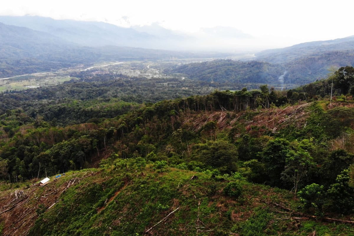 Kawasan TN Leuser yang kritis. Foto: Yufha Pohan