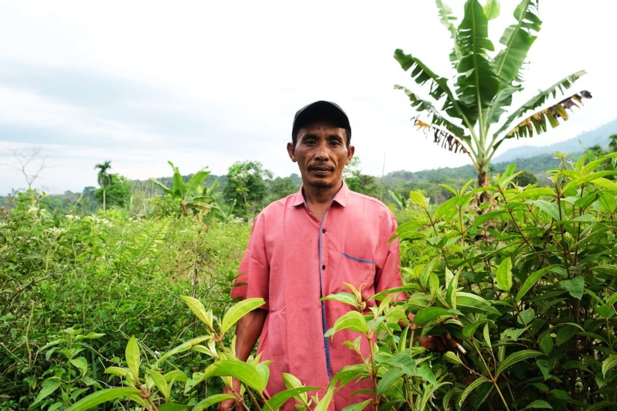 Iskandar, warga yang mau ikut kemitraan konservasi dan sudah menebang tanaman sawit yang masuk kawasan Leuser. Foto: Yudha Pohan