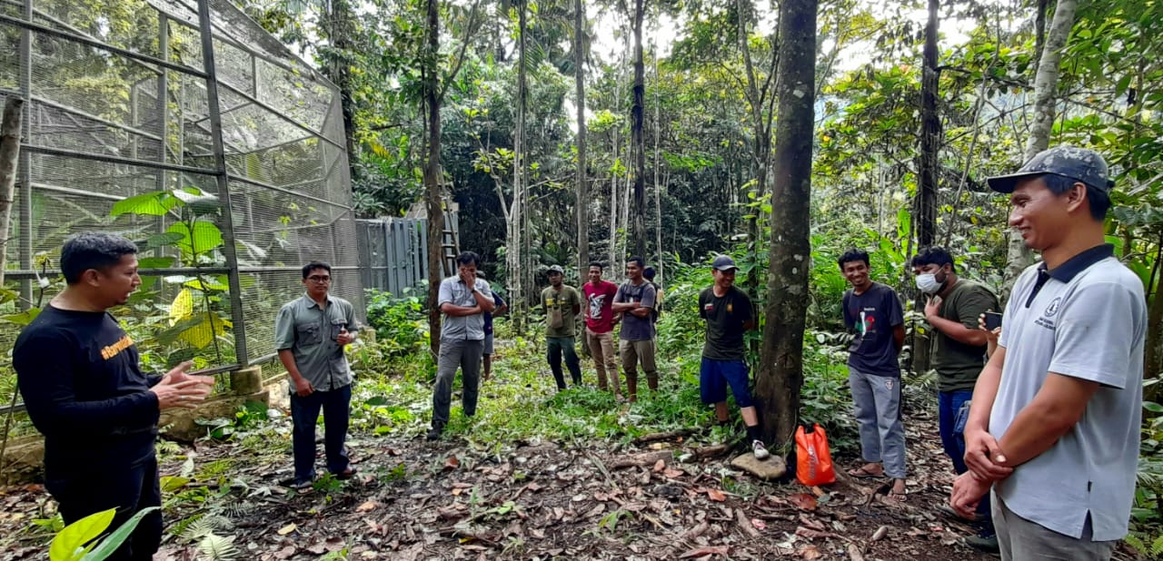 Persiapan pelepasliaran paruh bengkok dari kandang rilis Suaka Paruh Bengkok TNAL. Foto: Heri Wibowo/TNAL