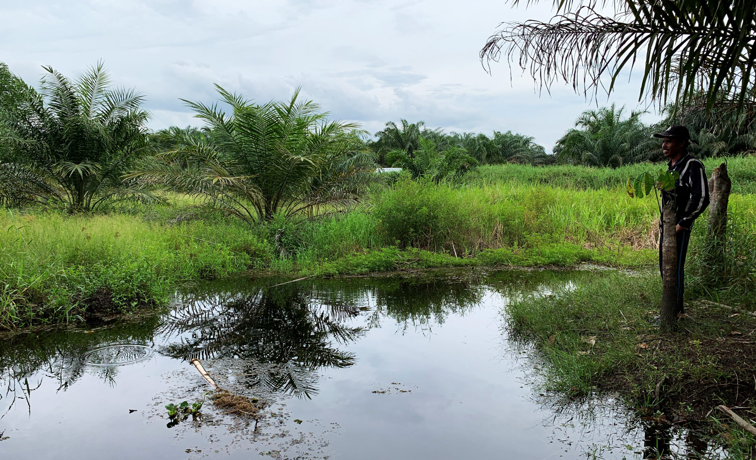Di seberang kanal itu dulu lahan komunal masyarakat Desa Sogo. Kini, dalam kuasa perusahaan sawit. Foto: Yitno Suprapto/ Mongabay Indonesia