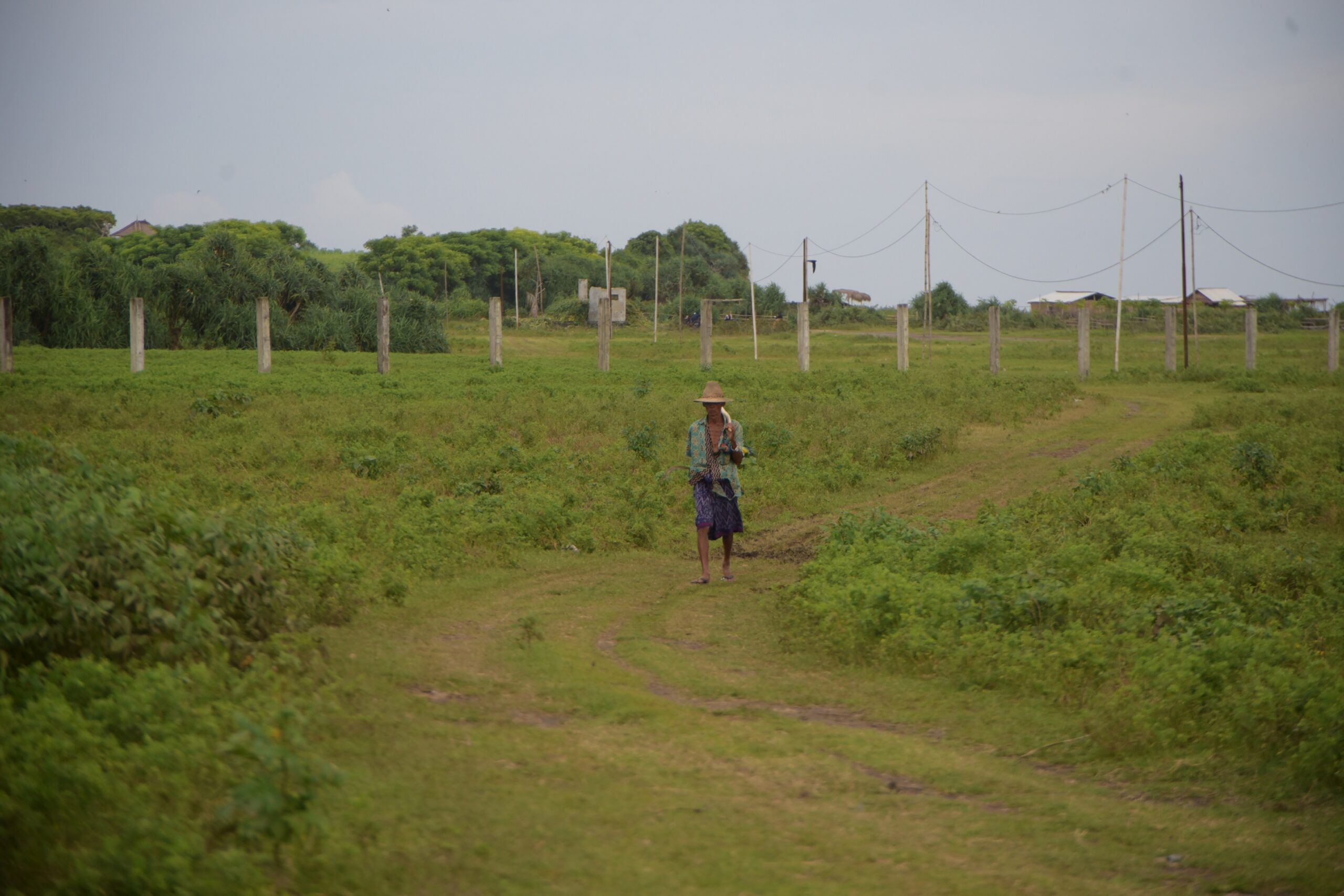Pengembala kerbau melintas di Pantai Kaliantan yang sudah dipagar investor. Sejak puluhan tahun lalu kawasan ini menjadi milik bersama para pengembala kerbau dan nelayan, kini beralih menjadi milik investor. AMAN Lombok Timur memperjuangkan pengakuan lahan ini sebagai tanah ulayat. Foto: Fathul Rakhman / Mongabay Indonesia