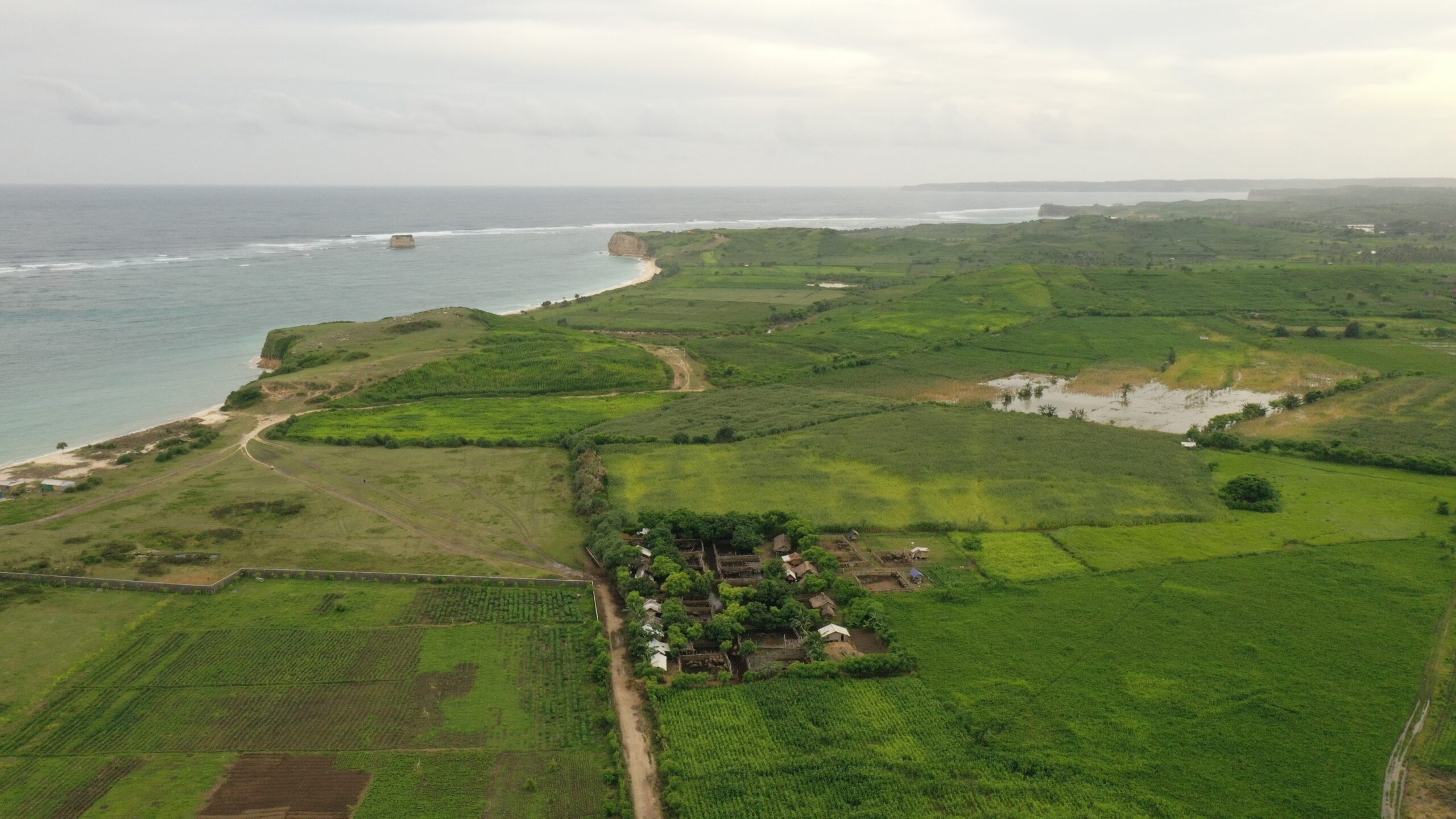 Kandang kerbau yang dibangun di Pantai Kaliantan sewaktu-waktu akan digusur oleh investor yang memiliki kawasan ini. Foto: Fathul Rakhman / Mongabay Indonesia