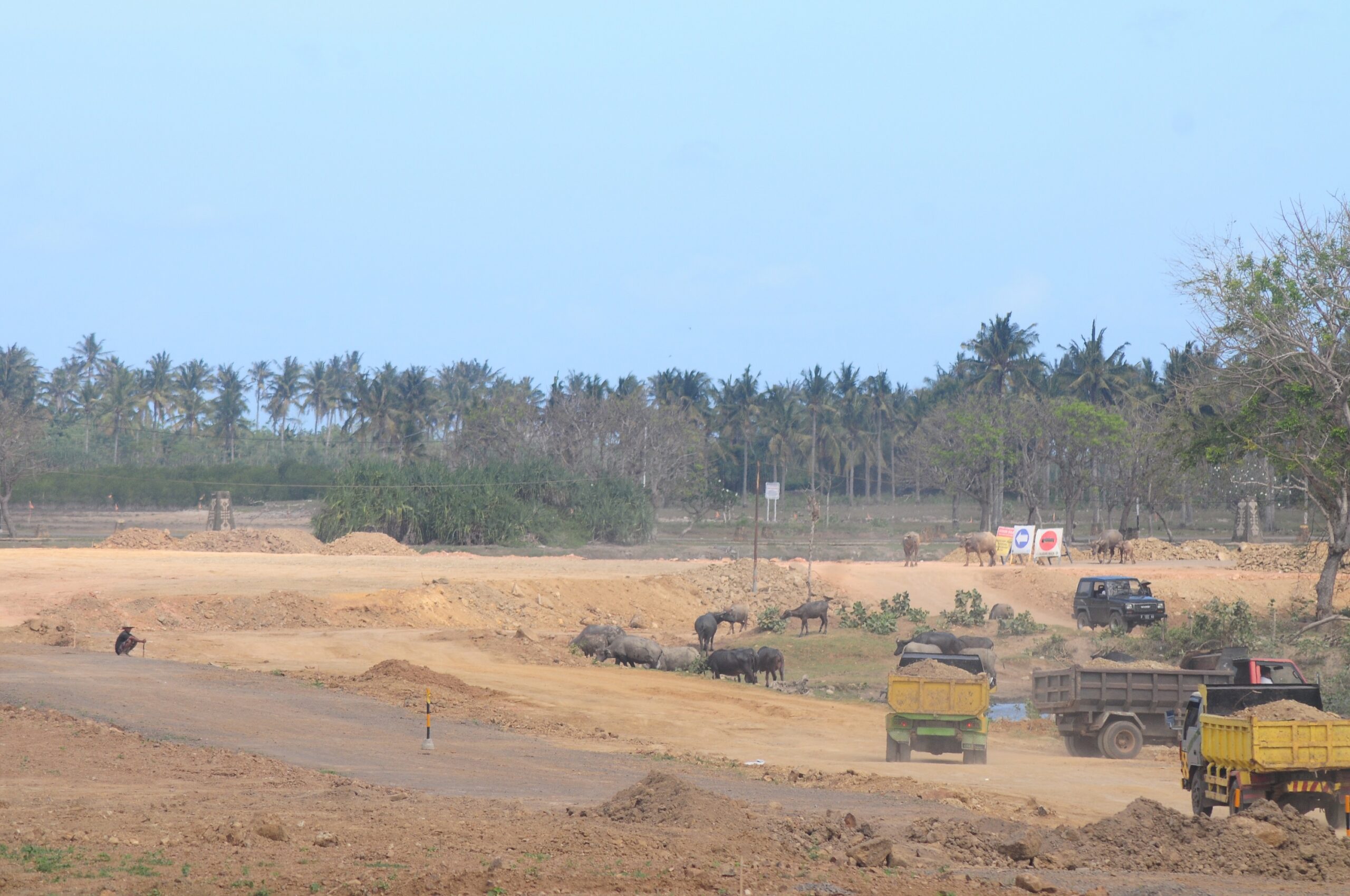 Sejak ada proyek KEK Mandalika, ruang hidup para peternak, petani, dan nelayan semakin sempit. Mereka terancam tidak memiliki sumber penghidupan karena tak mampu masuk ke sektor pariwisata. Foto: Fathul Rakhman / Mongabay Indonesia