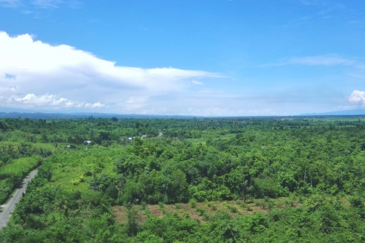 Tampak bukaan baru di SM Bakiriang. Foto: Sarjan Lahay/ Mongabay Indonesia