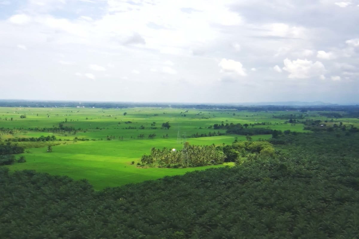 Pemandangan SM bakiriang dari atas udara. Foto: Sarjan Lahay/ Mongabay Indonesia