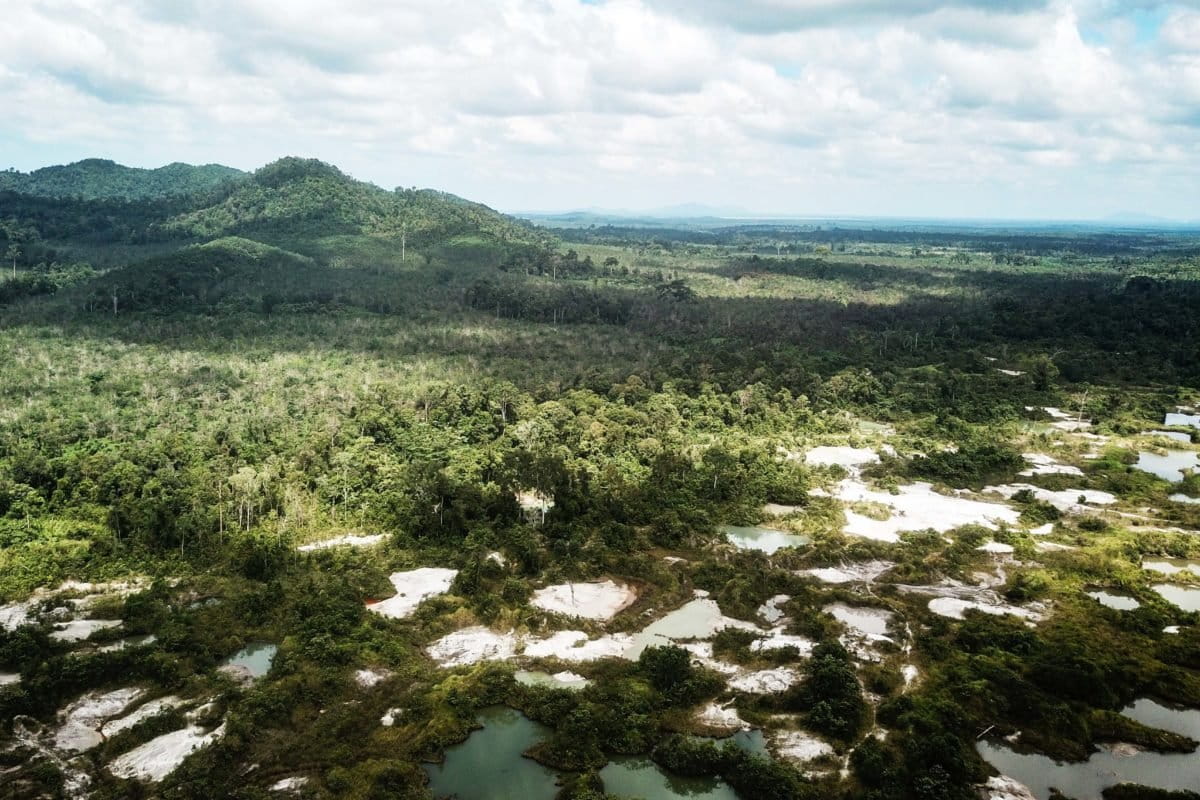 Kawasan HTI PT Indo Sukses Lestari Makmur di lanskap Gunung Duren, Belitung Timur, Kepulauan Bangka Belitung, selain tanaman karet yang belum berjalan baik, juga terancam penambangan timah ilegal. Foto [Drone] Muhammad Rizqi Ramadhani/Mongabay Indonesia