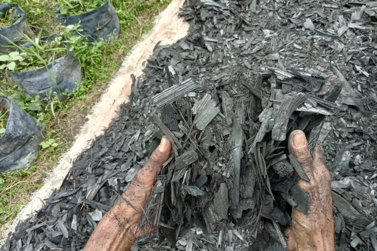 Pelepah pinang yang dibakar dan proses jadi briket. Foto: Elviza Diana/ Mongabay Indonesia