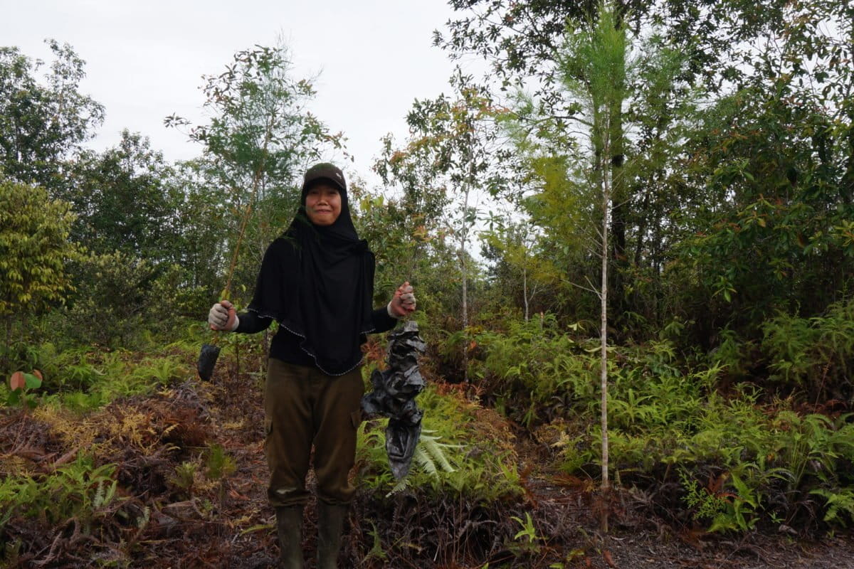 Rini, menanam dan merawat pohon. Foto: Lusia Arumingtyas/ Mongabay Indonesia