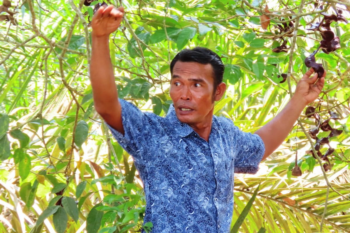 Supradillah di kebun jengkolnya. Foto: Elviza Diana/ Mongabay Indonesia