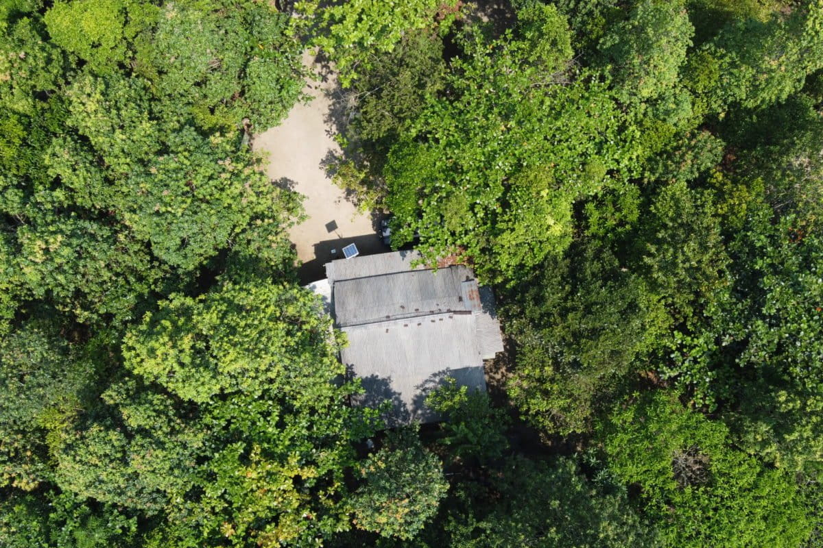 Restorasi di Rawa Purwa, Way Kambas. Foto: AleRT