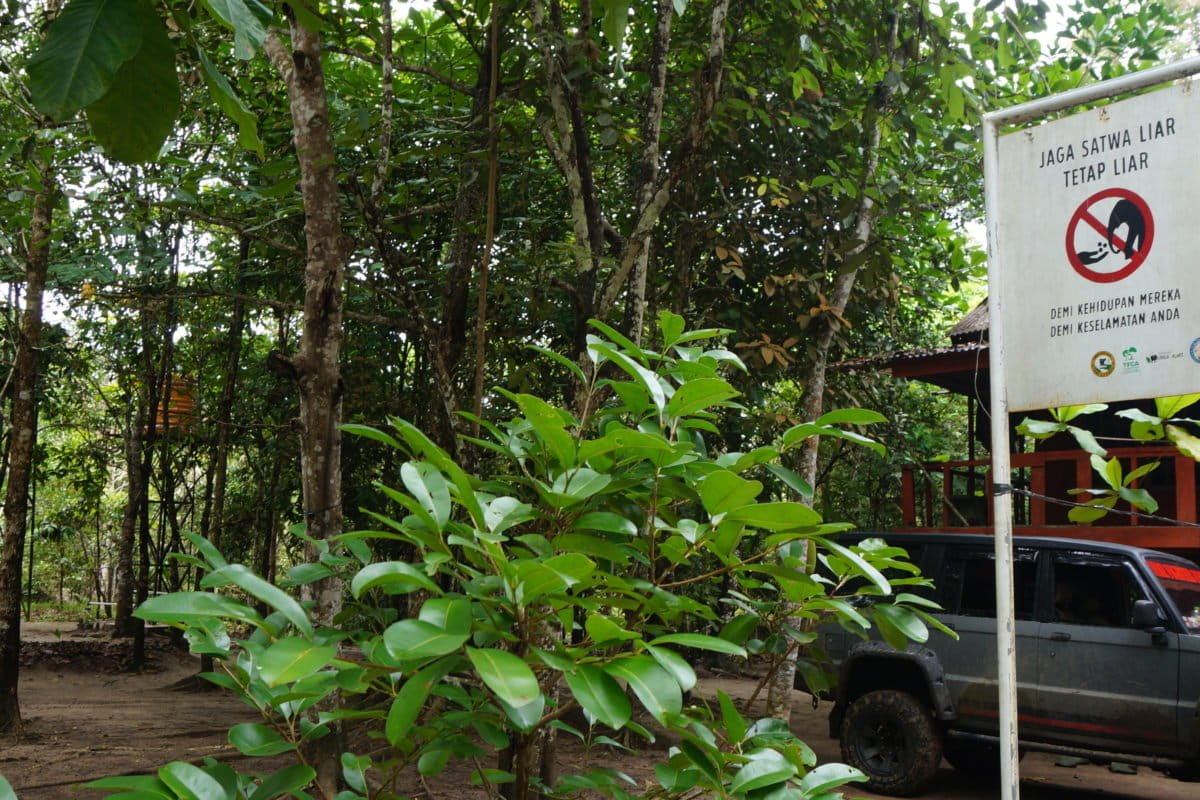 Area resorasi Bambangan di Way Kambas. Foto: Lusia Arumingtyas/ Mongabay Indonesia