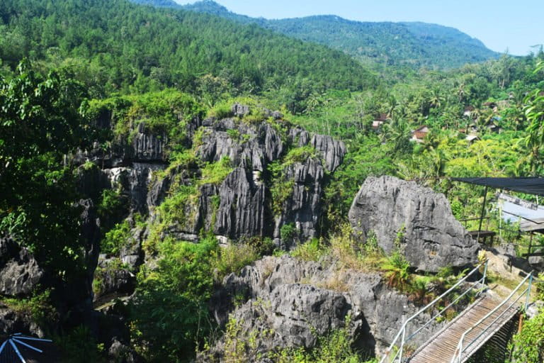 Hutan dan bentang karst Trenggalek, merupakan ekosistem penting. Bupati Trenggalek, Nur Aripin, kukuh tak ingin wilayahnya jadi tambang emas. Foto: A. Asnawi/ Mongabay Indonesia