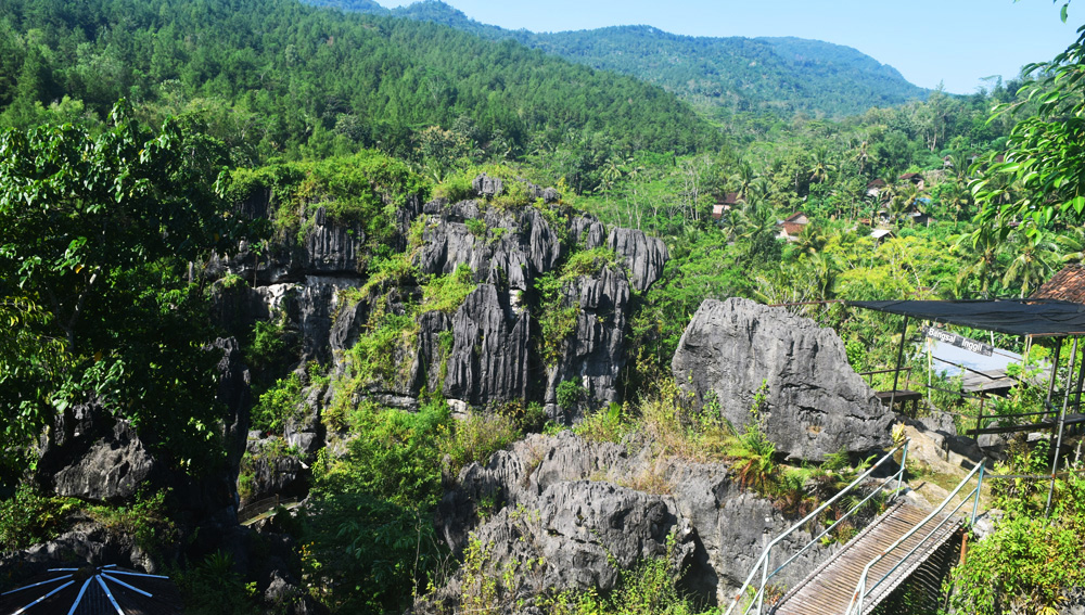 Hutan dan bentang karst Trenggalek, merupakan ekosistem penting. Bupati Trenggalek, Nur Aripin, kukuh tak ingin wilayahnya jadi tambang emas. Foto: A. Asnawi/ Mongabay Indonesia