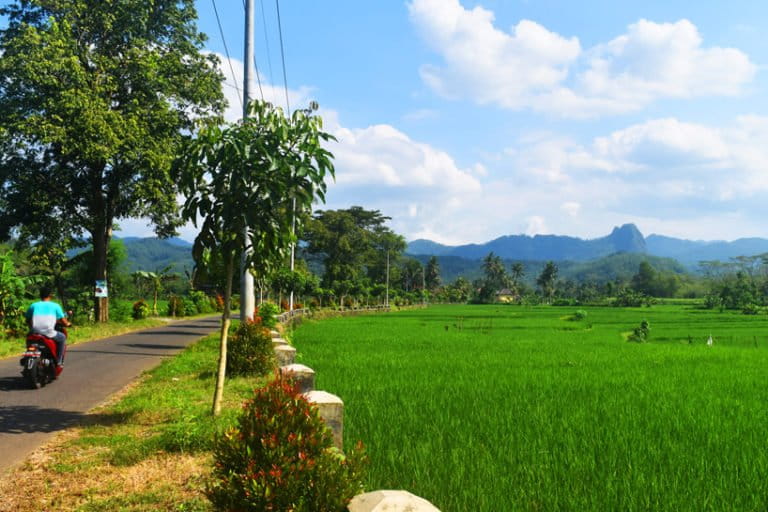 Lahan pertanian dan bentang karst itu bakal jadi tambang emas? Foto: A. Asnawi/ Mongabay Indonesia