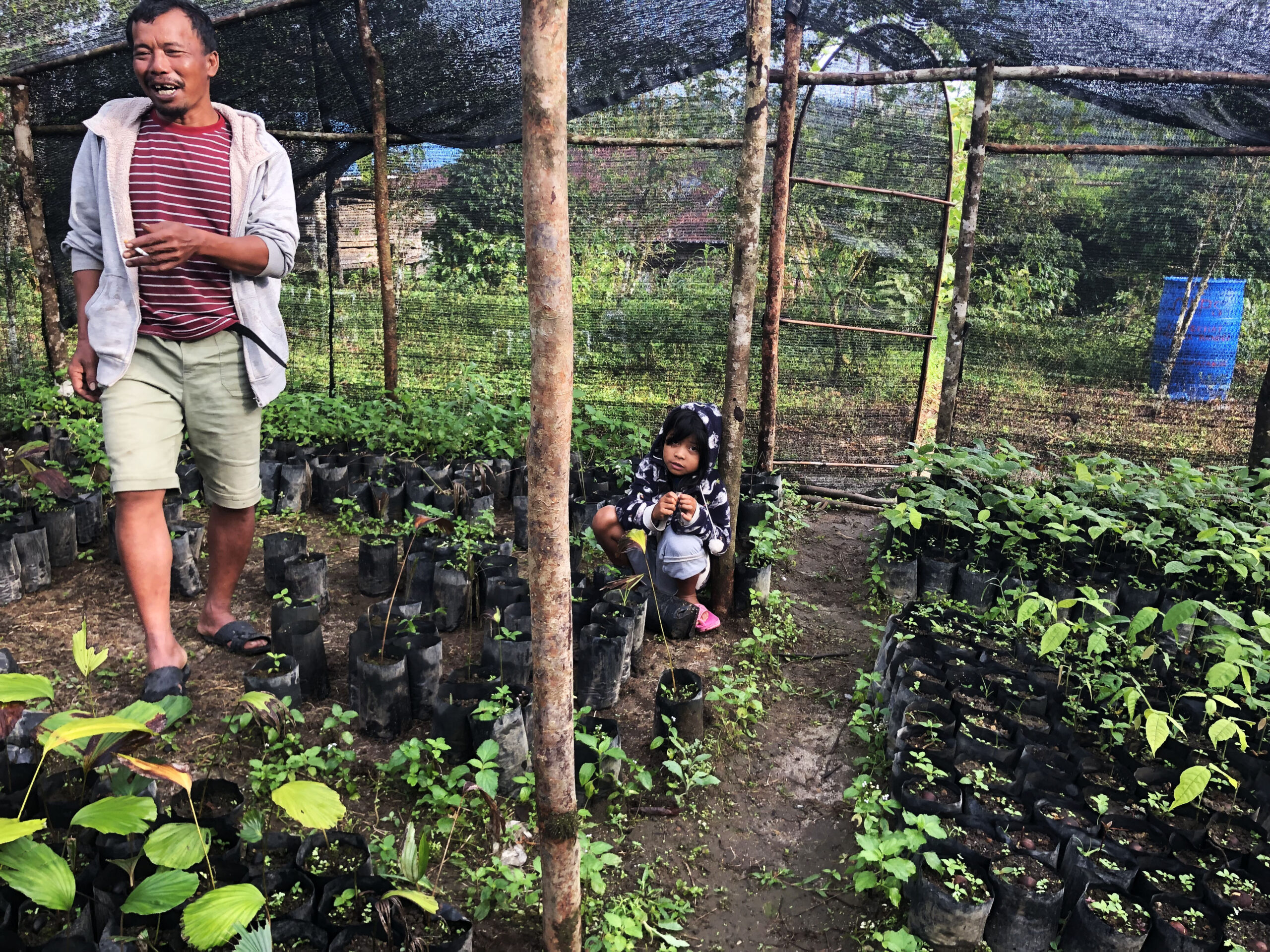 Rajes Sitanggang, Ketua Komunitas Adat Pargamanan-Bintang Maria, di rumah bibitnya. Foto: Baritanews Lumbantau/ Mongabay Indonesia