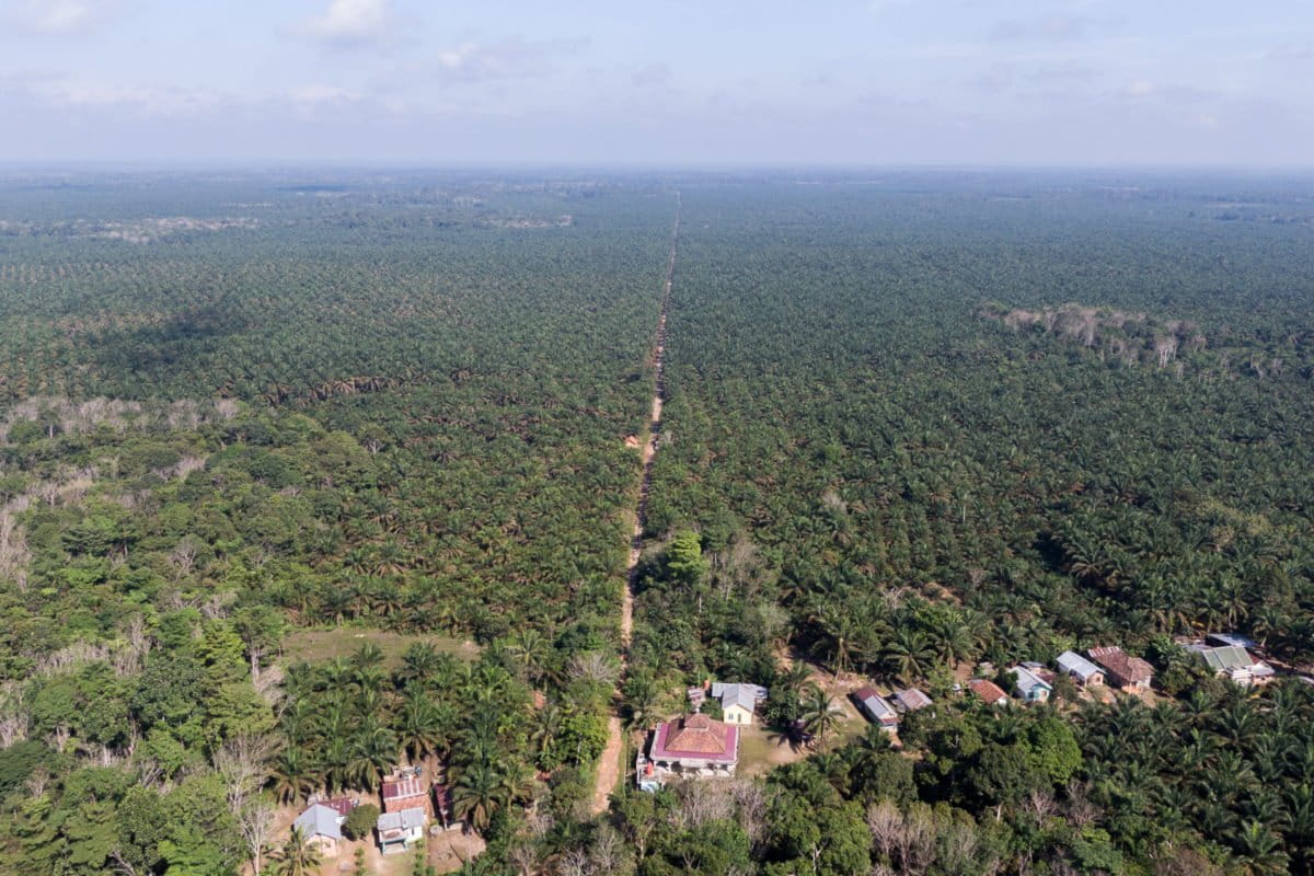 Desa Bina Karya dan konsesi perkebunan milik PT Lonsum di Kabupaten Musi Rawas Utara. Foto: Nopri Ismi./ Mongabay Indonesia