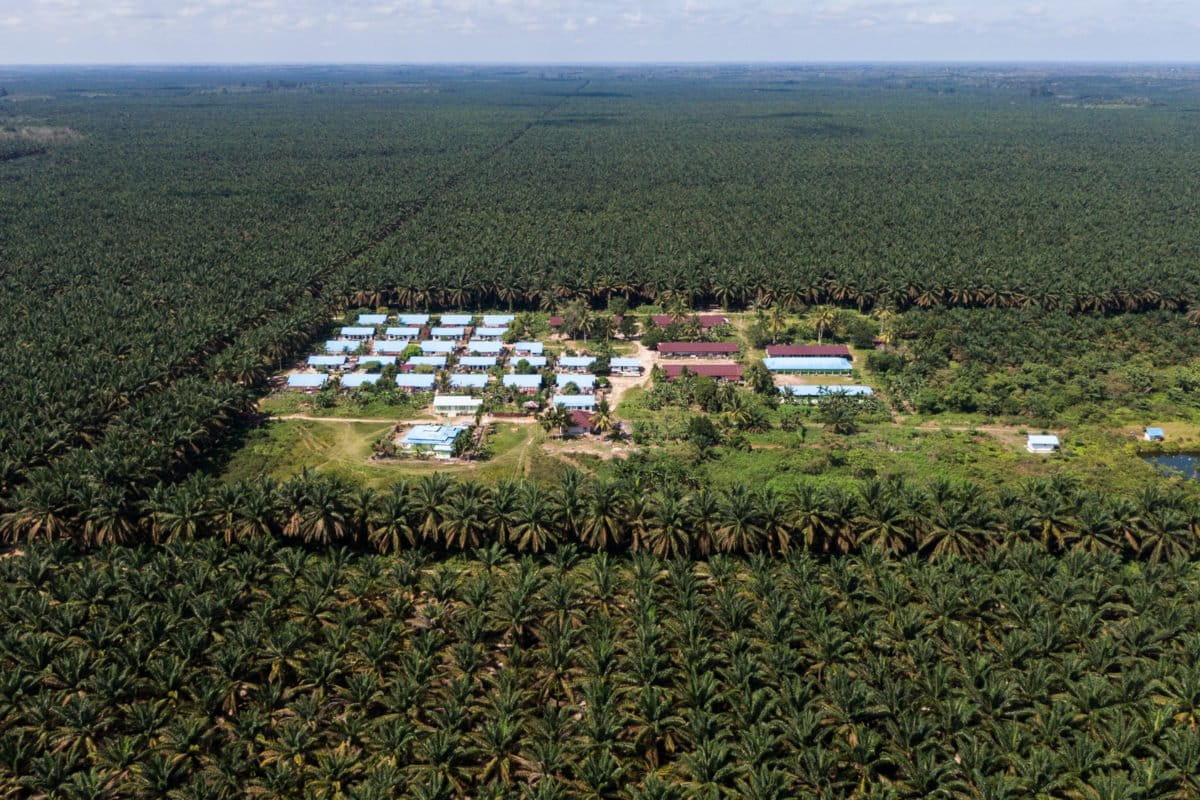 Perumahan pegawai perkebunan PT Lonsum di Tebing Tinggi. Sebuah audit perkebunan untuk skema sertifikasi, RSPO, tidak mencatat adanya konflik dengan Suku Anak Dalam. Foto: Nopri Ismi/ Mongabay Indonesia