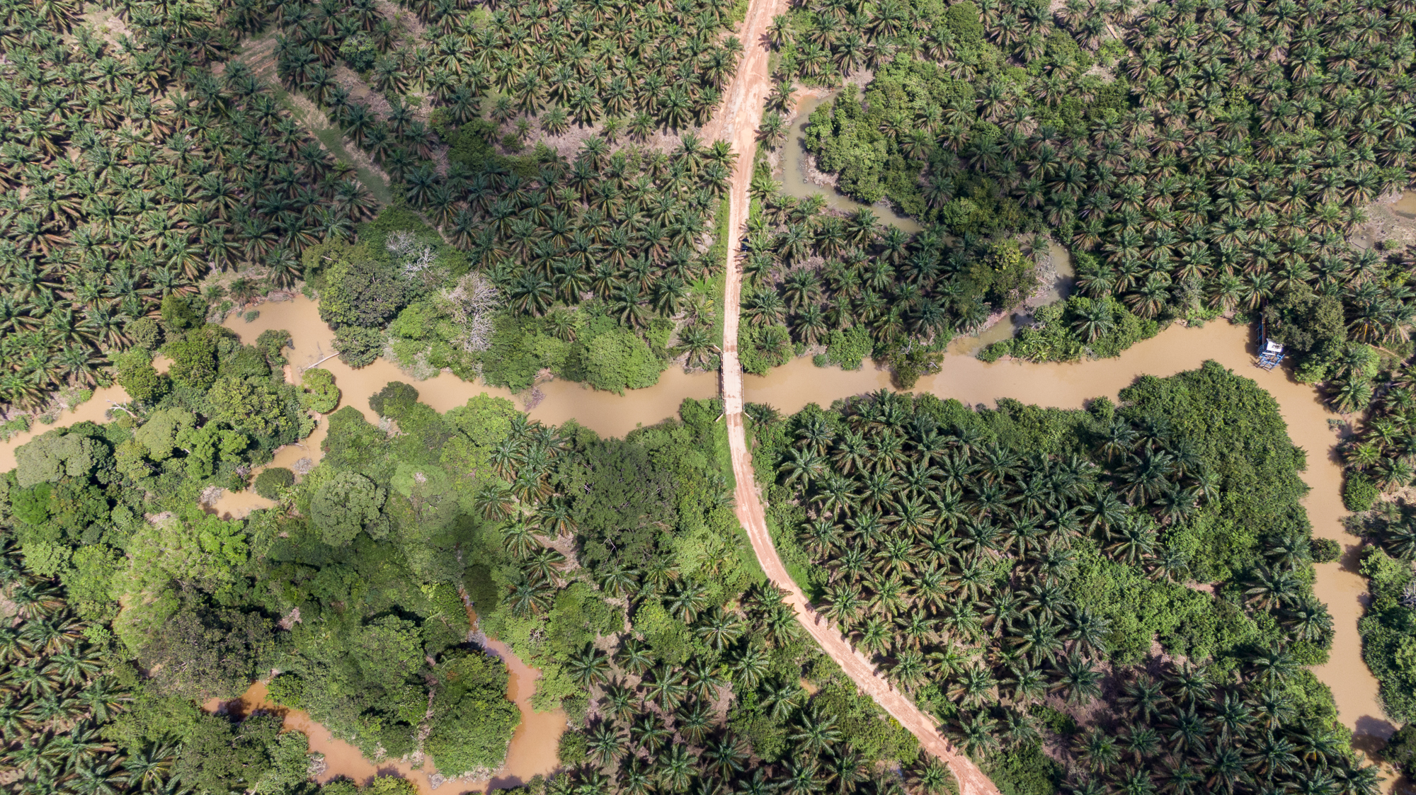 Sungai Kelumpang mengalir melewati perkebunan PT Lonsum di Musi Rawas Utara, Sumatera Selatan. 