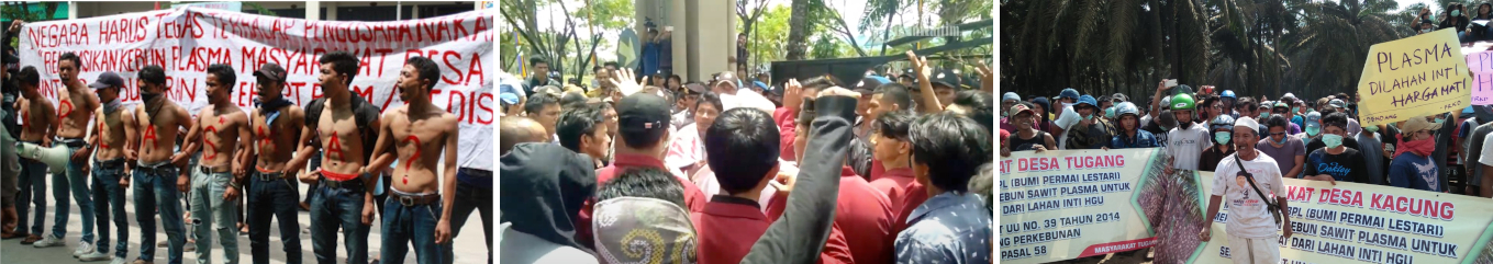 Protes terkait plasma di Kabupaten Mandailing Natal, Sumatera Utara, pada 2016 (kiri) dan di Kabupaten Bulungan, Kalimantan Utara, pada 2017 (tengah). “Sampai sekarang belum ada realisasinya … begitu juga di desa-desa yang lain,” kata warga Bulungan Yustenli Duli kepada kami. Protes terkait plasma di Kabupaten Bangka Barat, Kepulauan Bangka Belitung, pada 2018 (kanan). “Tapi saya pribadi tidak gentar, kami tetap berjuang,” ujar warga Bangka Barat Susiadi kepada kami. Foto-foto (kiri ke kanan) dari Inilah Medan, Tribun Kaltim, Pilar Radio.