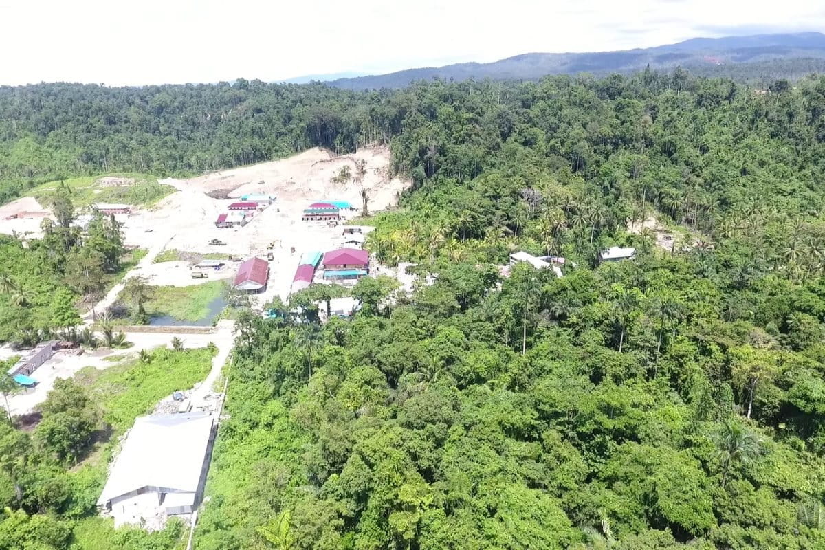 Lahan kebun terakhir Hermenus T. Dia akan mempertahankan kebun ini karena satu-satunya yang tersisa. Sebagian kebunnya terpaksa dijual ke perusahaan. Foto: Christ Belseran/ Mongabay Indonesia
