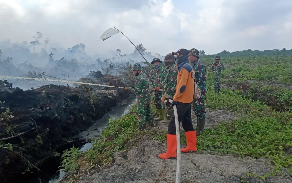 Kebakaran hutan dan lahan yang terjadi dio: BPBD Rokan Hilir Rokan Hilir, Juli ini. Fot