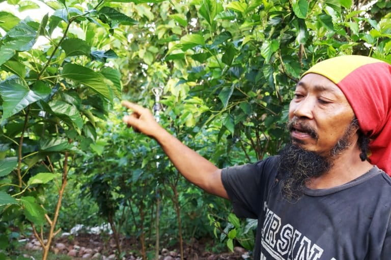 Mbah Gimbal, menanam dengan peduli alam, tak hanya buat diri sendiri juga mengajak dan menularkan ilmu itu kepada orang lain. Foto: : Tantowi Djauhari