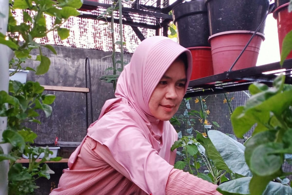 Aksi Sakiah Nasution, diikuti para tertangganya. Kini, beberapa orang di sekitarnya juga tanam beragam sayur mayur yang bisa penuhi untuk keperluan keluarga. Dari balik atap kini mereka sudah bisa merasakan udara segar di tengah bangunan tinggi yang gersang. 