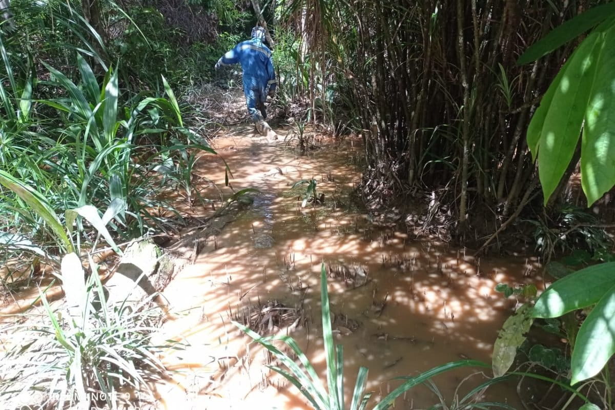 Hulu ke hilir tercemar. Sungai di hulu Pulau Bunyu mengkecil dan air keruh serta terjadi pendangkalan dampak operasi pertambangan batubara. Foto: dokumen warga