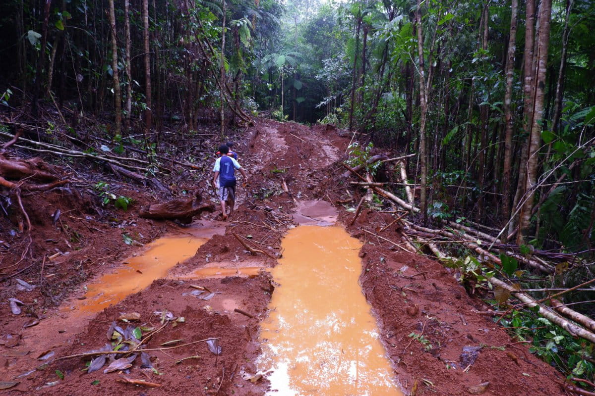 Jalan tambang perusahaan yang membelah kebun warga di Wawonii. Foto: Eko: Eko Rusdianto/ Mongabay Indonesia