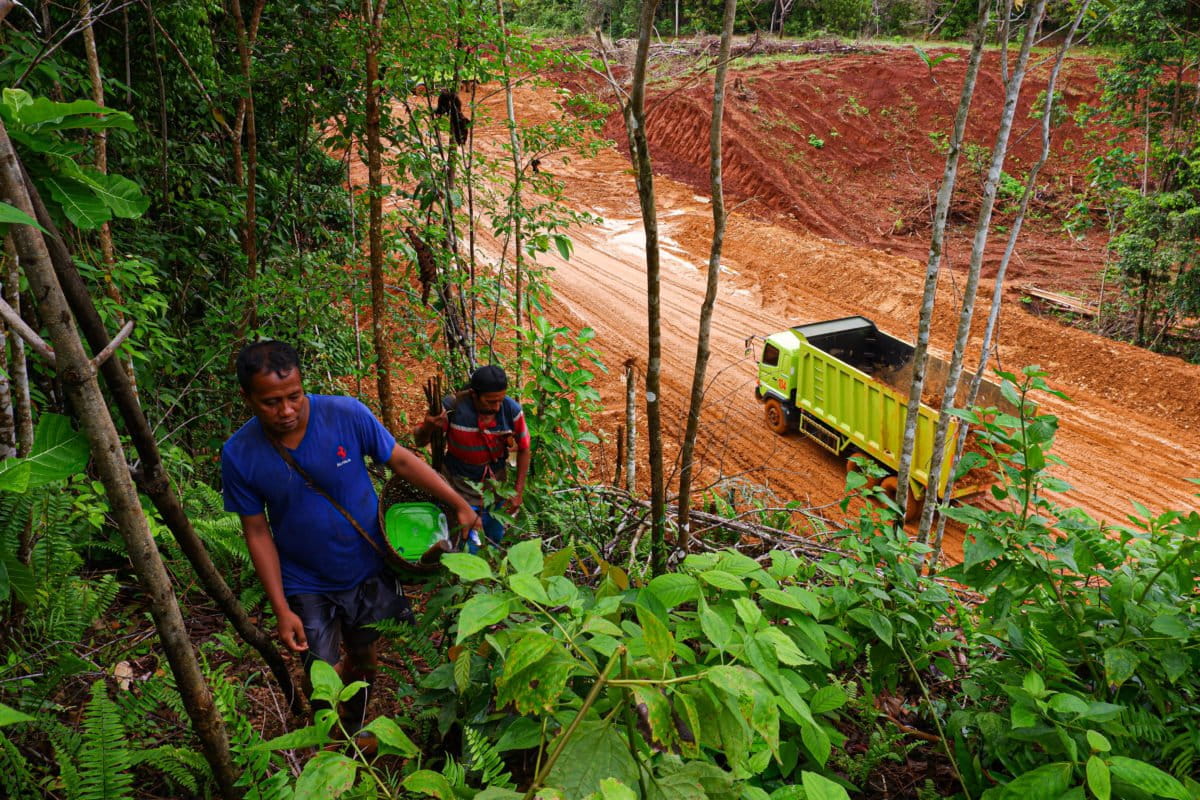 Jalan utama yang idibangun PT GKP membelah pemukiman dan kebun warga. Foto: Eko Rusdianto/ Mongabay Indonesia