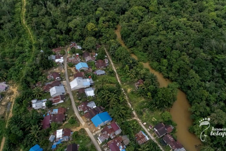 Desa Setawar, mayoritas warga petani sawit. Mereka juga komitmen kuat menjaga hutan adat. Foto: Kaoem Telapak