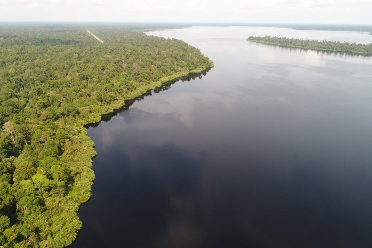 Taman Nasional Zamrud dari udara, Siak Sri Indrapura. Salah satu kawasan lindung yang tersimpan di Semenanjung Kampar. Foto Perkumpulan Elang..jpeg